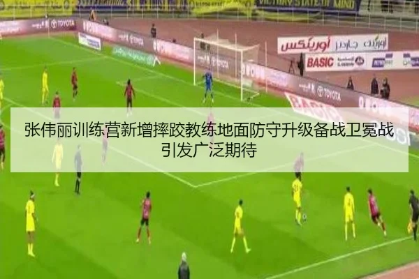 张伟丽训练营新增摔跤教练地面防守升级备战卫冕战引发广泛期待